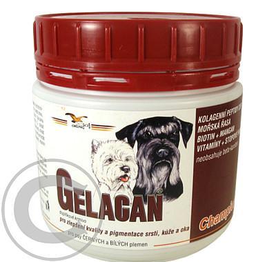 Gelacan Champion psi  černobílá plemena 150g, Gelacan, Champion, psi, černobílá, plemena, 150g