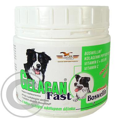 Gelacan Fast 150g