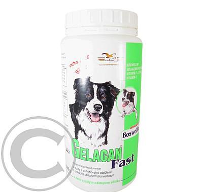 Gelacan Fast 500 g a.u.v., Gelacan, Fast, 500, g, a.u.v.