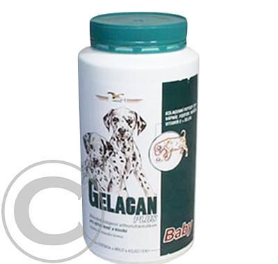 Gelacan Plus Baby 1000g, Gelacan, Plus, Baby, 1000g