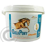 Gelapony Chondro 600 g a.u.v., Gelapony, Chondro, 600, g, a.u.v.