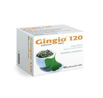 GINGIO 120  60X120MG Potahované tablety