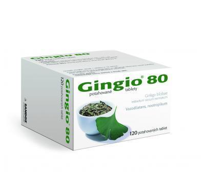 GINGIO 80  120X80MG Potahované tablety