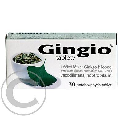 GINGIO TABLETY  30X40MG Potahované tablety, GINGIO, TABLETY, 30X40MG, Potahované, tablety