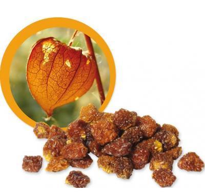 Goldenberries BIO 1kg, Goldenberries, BIO, 1kg