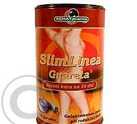 Guareta SlimLinea plv.100g, Guareta, SlimLinea, plv.100g