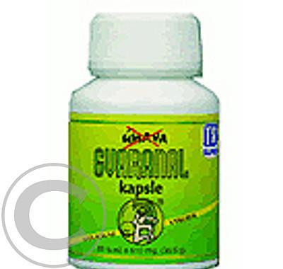 HEMANN Gvaranal 610mg cps.60