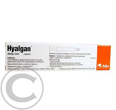 HYALGAN 20MG/2ML  1X2ML/20MG-ST Injekční roztok