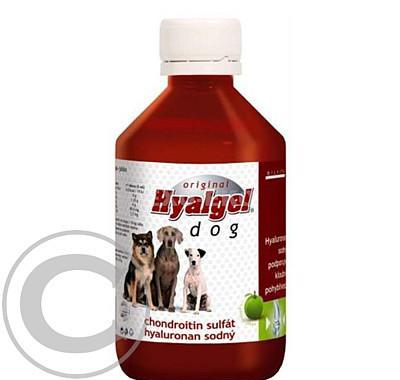 Hyalgel Dog Original jablko 500ml, Hyalgel, Dog, Original, jablko, 500ml
