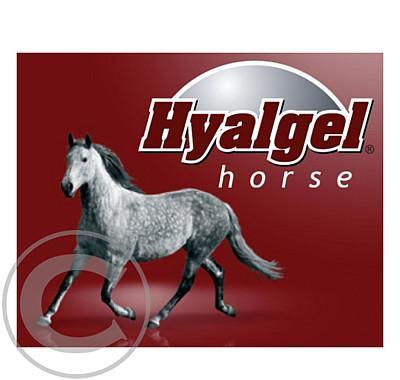 Hyalgel Horse jablko 5l