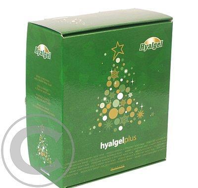 Hyalgel plus jablko   pomeranč (2x500ml) Vánoce