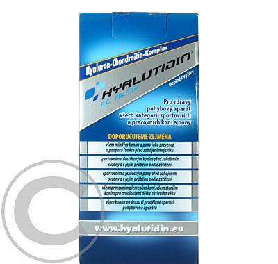 Hyalutidin EC AKTIV pro koně 2x500ml, Hyalutidin, EC, AKTIV, koně, 2x500ml