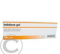 INDOBENE  1X100GM Gel     : VÝPRODEJ exp. 2015-06-30