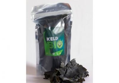 Kelp BIO 40g