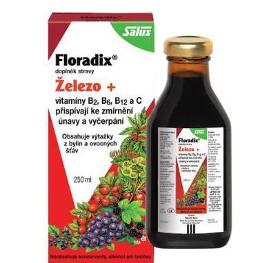 Salus Floradix bylinný elixír 250 ml, Salus, Floradix, bylinný, elixír, 250, ml