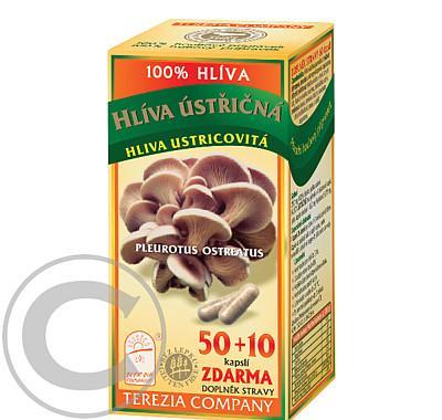 TEREZIA COMPANY Hlíva ústřičná 50   10 kapslí, TEREZIA, COMPANY, Hlíva, ústřičná, 50, , 10, kapslí