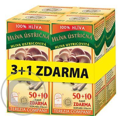 TEREZIA COMPANY HLÍVA ústřičná 50   10 kapslí AKCE 3 1 Zdarma, TEREZIA, COMPANY, HLÍVA, ústřičná, 50, , 10, kapslí, AKCE, 3, 1, Zdarma