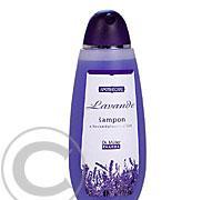 LAVANDE šampon s levandulovou silicí 250 ml Dr. Müller