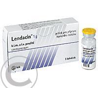 LENDACIN 1G  5X1GM Prášek pro  inj. roztok