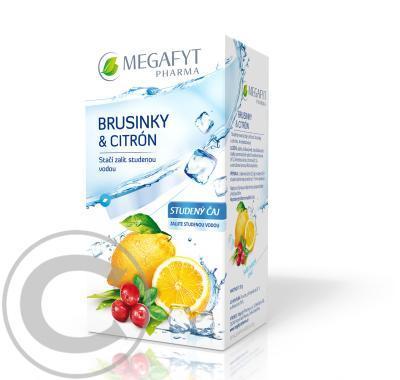 MEGAFYT Brusinky a citrón studený čaj 20x2,5 g