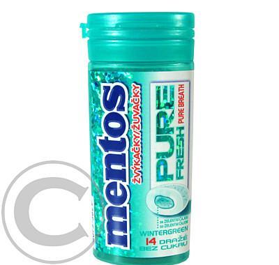 Mentos Gum PB Pure Fresh Wintergreen 28g