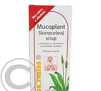 Mucoplant jitrocelový sirup bez cukru   echinacea 100 ml, Mucoplant, jitrocelový, sirup, bez, cukru, , echinacea, 100, ml