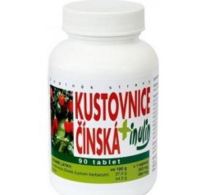 NATURVITA Kustovnice čínská   Inulín 90 tablet, NATURVITA, Kustovnice, čínská, , Inulín, 90, tablet