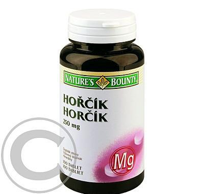 Nature's Bounty Hořčík tbl.100 x 250 mg