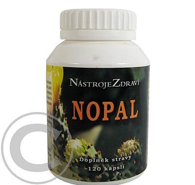 Nopal cps. 120, Nopal, cps., 120