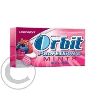 ORBIT professional mint Lesní ovoce