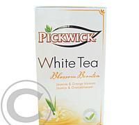 PICKWICK Beautea Bílý čaj nálevové sáčky 20 x 1.25 g