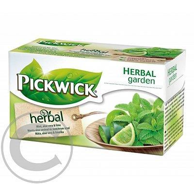 PICKWICK Čaj Máta s Aloe Vera a limet.n.s.20x1.5g