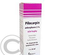 PILOCARPIN ANKERP.2% OČNÍ KAPKY  1X10ML Oční kapky, roztok, PILOCARPIN, ANKERP.2%, OČNÍ, KAPKY, 1X10ML, Oční, kapky, roztok