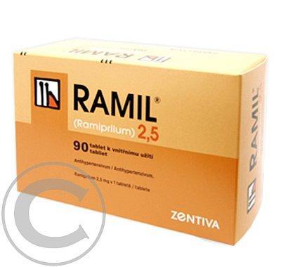 RAMIL 1,25  90X1.25MG Tablety