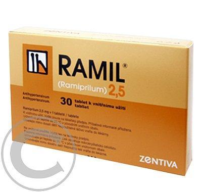 RAMIL 2,5  10X2.5MG Tablety