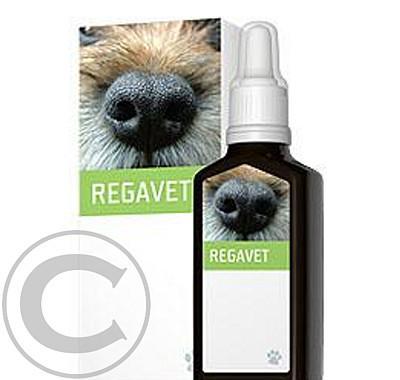 REGAVET 30 ml