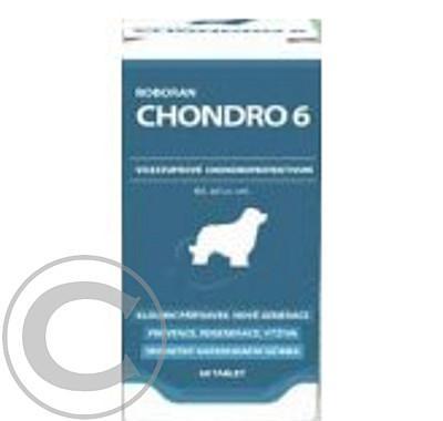 Roboran Chondro 6 pro psy 60tbl