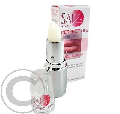 SAL 29 Perfect lips 4g, SAL, 29, Perfect, lips, 4g