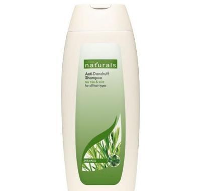 Šampon proti lupům s čajovníkem a mátou pro všechny typy vlasů Naturals (Tea Tree & Mint Anti-Dandruff Shampoo) 400 ml