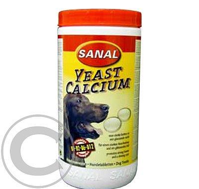 Sanal Calcium 600 g pes a.u.v.