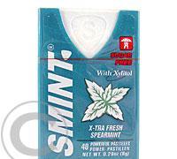 Smint pastilky peppermint 8g