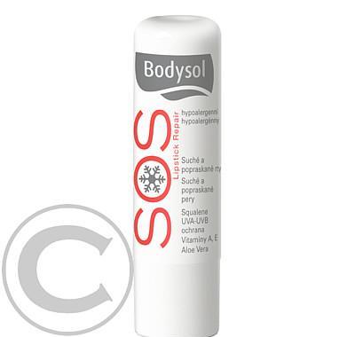 SOS Bodysol BOX tyčinka rty 4.8g 100   100 ks ZDARMA, SOS, Bodysol, BOX, tyčinka, rty, 4.8g, 100, , 100, ks, ZDARMA