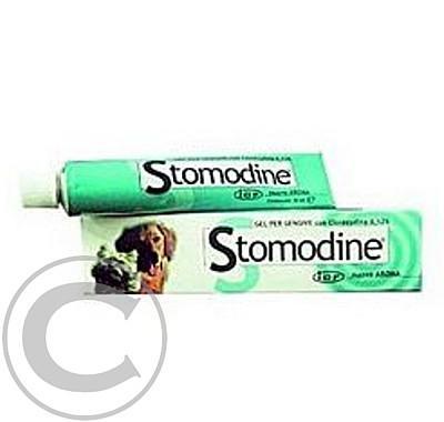 Stomodine gel 30g