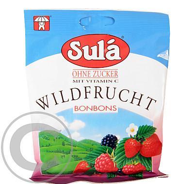 SULÁ Lesní ovoce sáček 60g bez cukru, SULÁ, Lesní, ovoce, sáček, 60g, bez, cukru