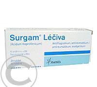 SURGAM LÉČIVA  20X300MG Tablety