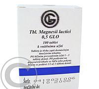 TBL.MAGNESII LACTICI 0.5 GLO TBL 100X500MG