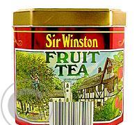 TEEKANNE SW Fruit tea ovoc.čaj sypaný 125g (plech)