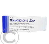 TRIAMCINOLON E LÉČIVA  1X20GM Mast, TRIAMCINOLON, E, LÉČIVA, 1X20GM, Mast