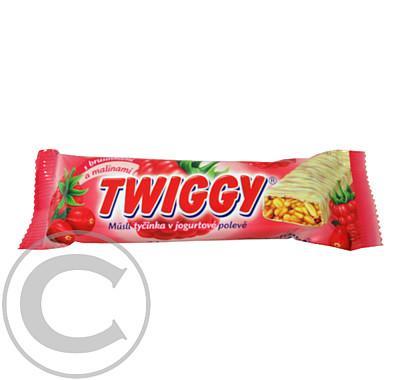 TWIGGY s brusikami a malinami Müsli tyčinka v jogurtové polevě 31g, TWIGGY, brusikami, malinami, Müsli, tyčinka, jogurtové, polevě, 31g