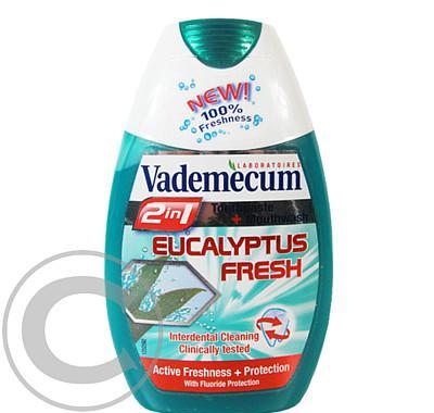 Vademecum 2v1 Eucalyptus Fresh 75ml zubní pasta